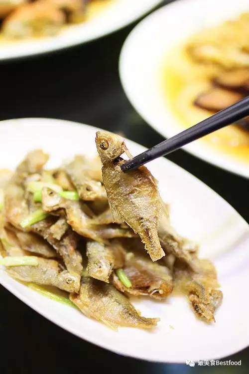 江浙沪周末亲子度假游的最佳选择,上海东方绿舟独有的美食