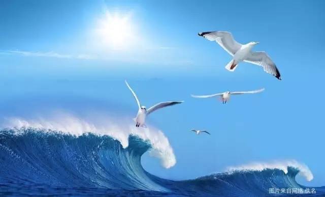 2015存储回忆｜合纵连横不亦乐乎（终结篇全集）