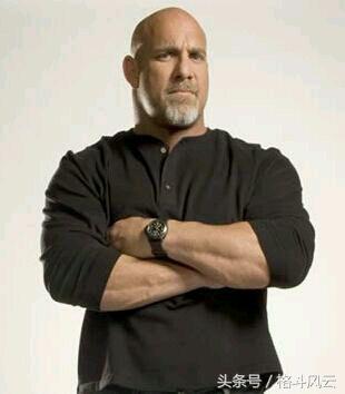 猛兽布洛克莱斯纳重摔之城,wwe布洛克莱斯纳vs人间怪兽完整版