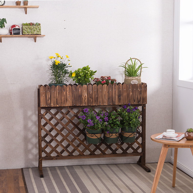 适合放大花的花架有哪些,花架用什么花比较好