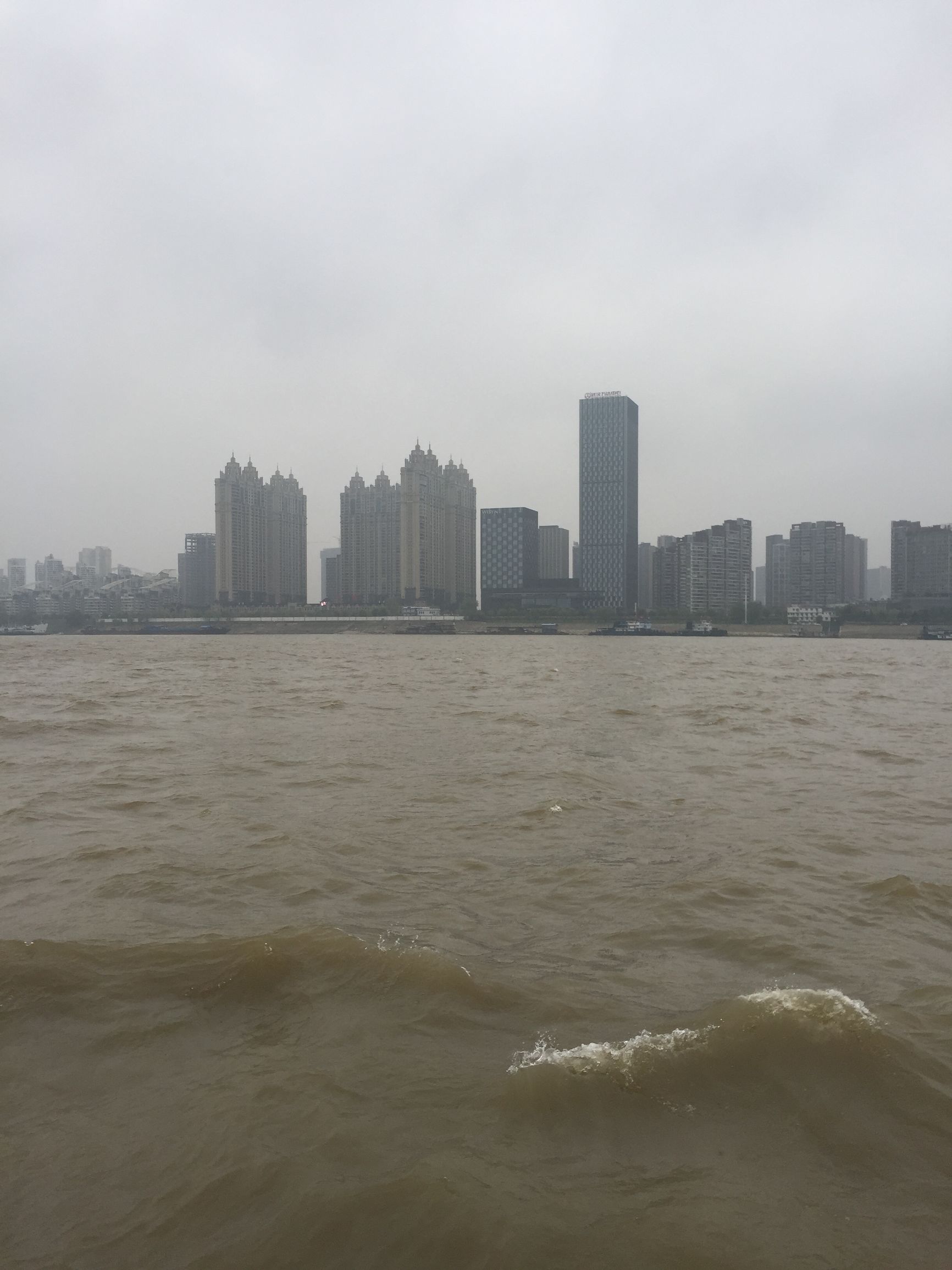 下暴雨横渡长江只为在樱花季吃上这口上过天天向上的蒸龙虾