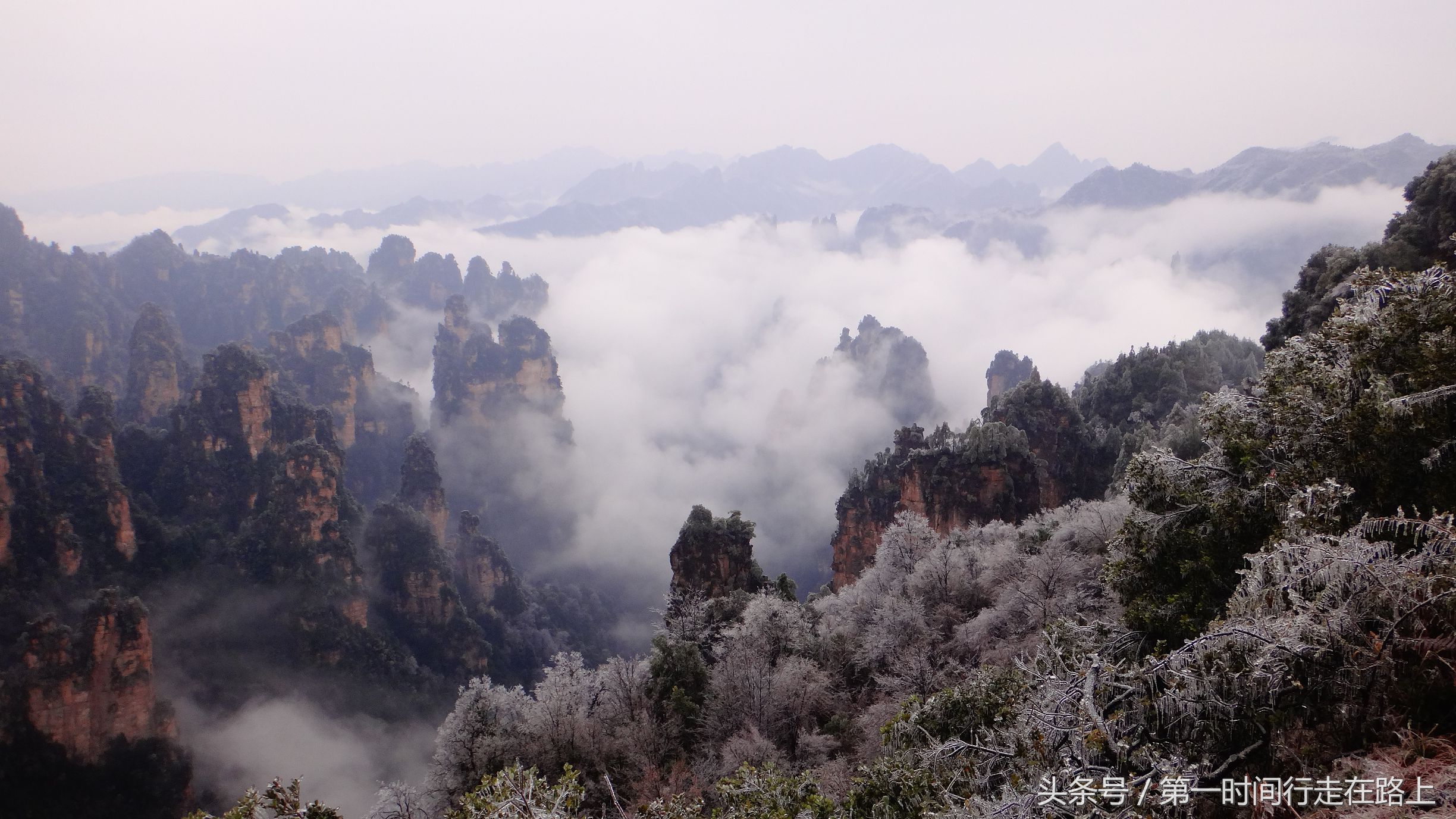 张家界浪漫之地,张家界最浪漫的婚纱