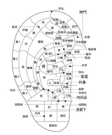 哪些面部运动可以快速消除法令纹,脸部运动真的可以改善法令纹吗