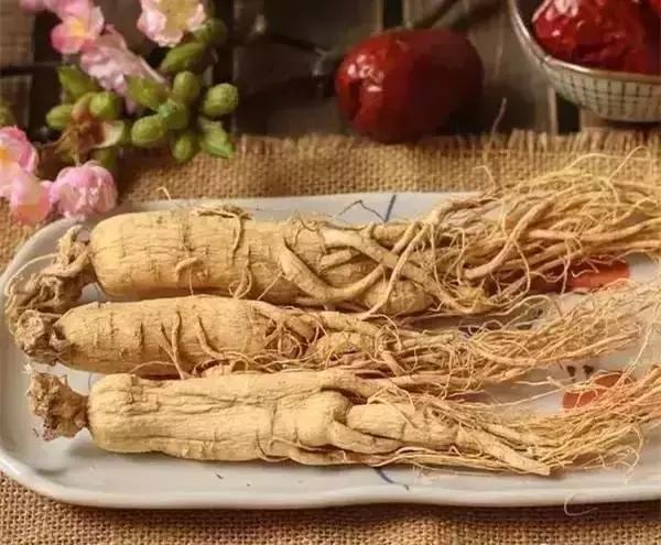 刘虎岐：想种植中草药来赚钱？这些知识点你得先了解！