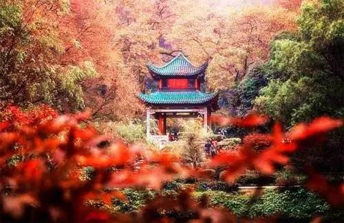 长沙纯玩的攻略,长沙良心攻略