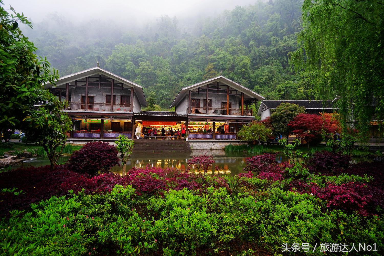 游记张家界8天旅游详细攻略,张家界天门山森林公园美景游记