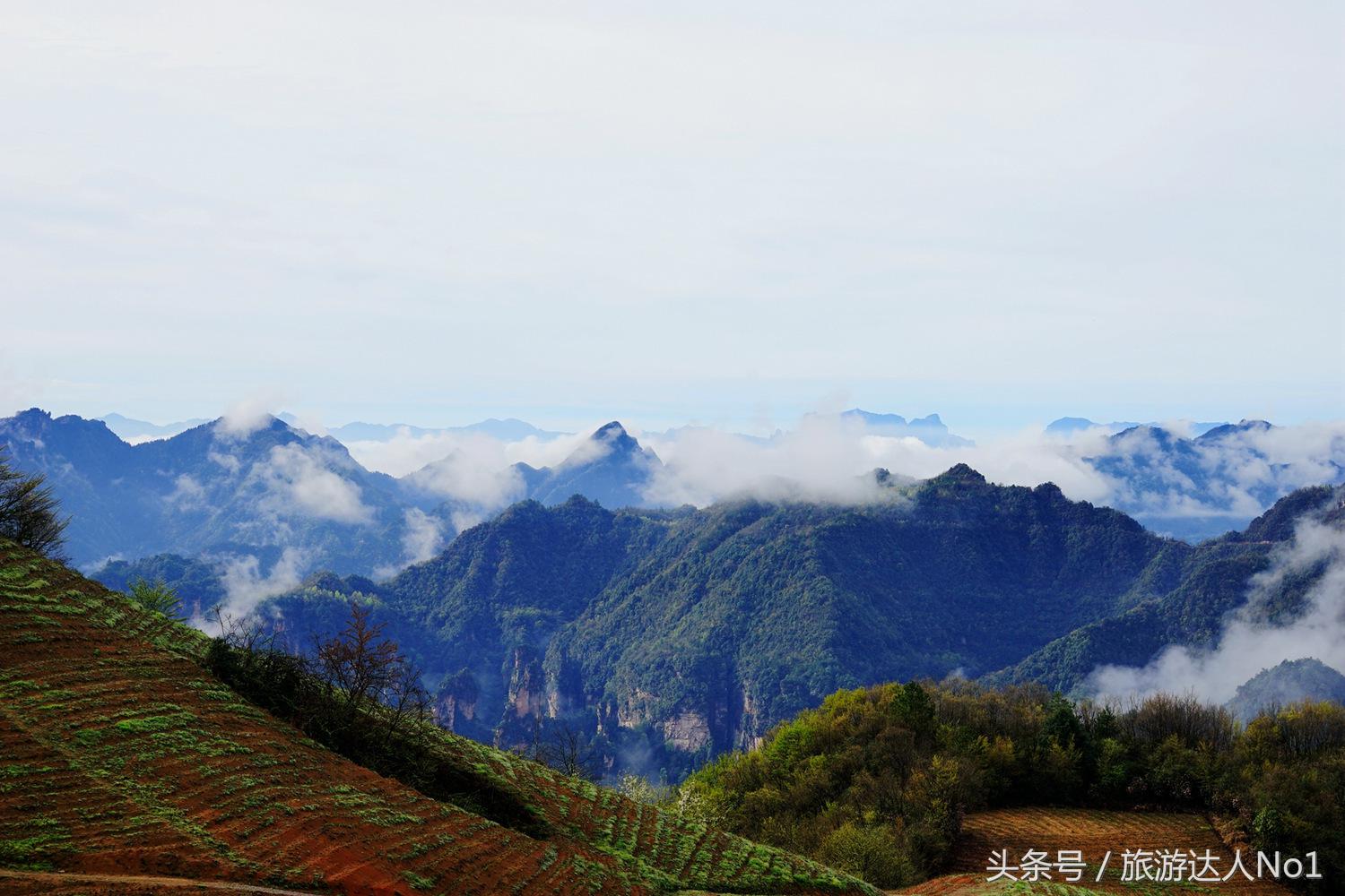 游记张家界8天旅游详细攻略,张家界天门山森林公园美景游记