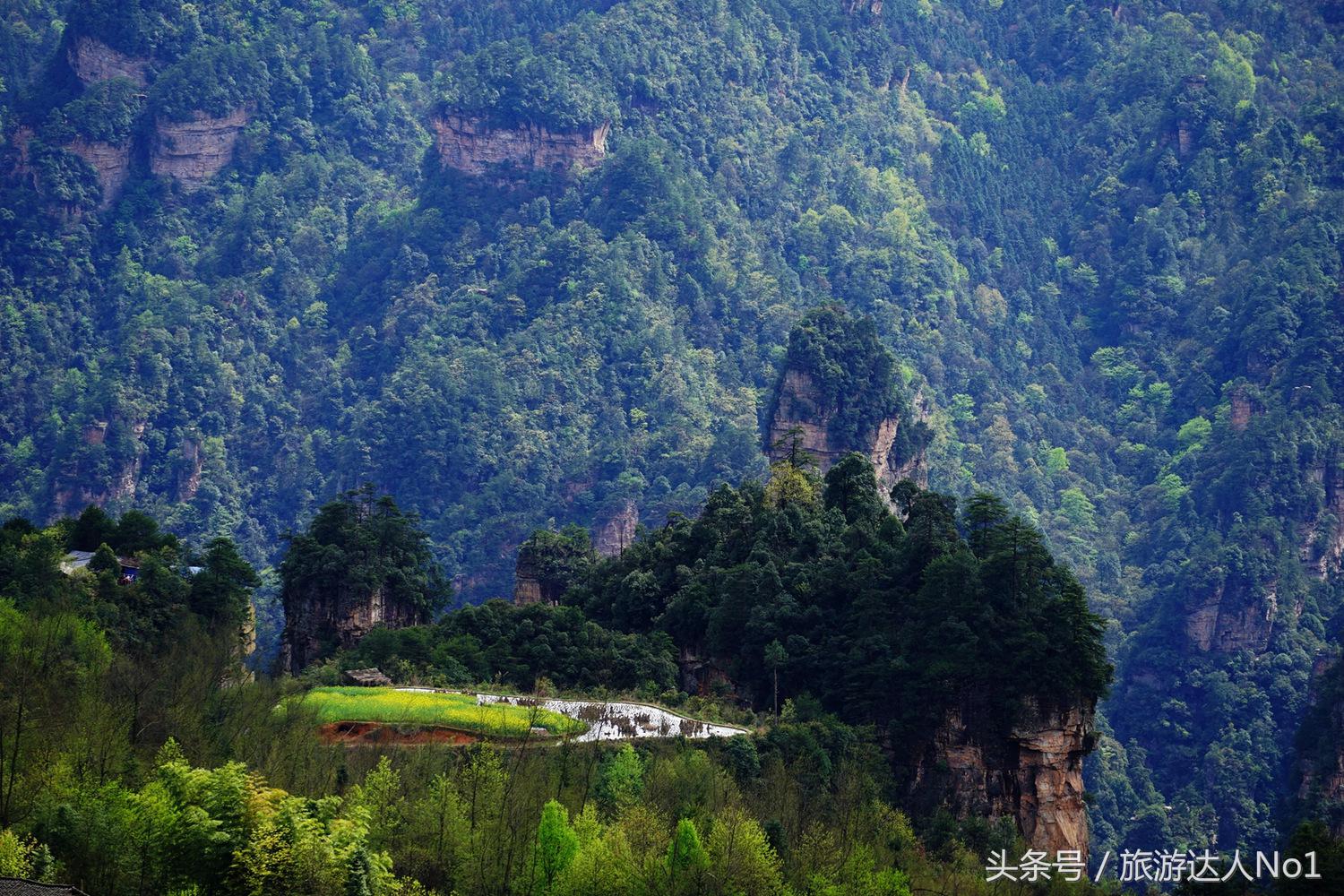 游记张家界8天旅游详细攻略,张家界天门山森林公园美景游记