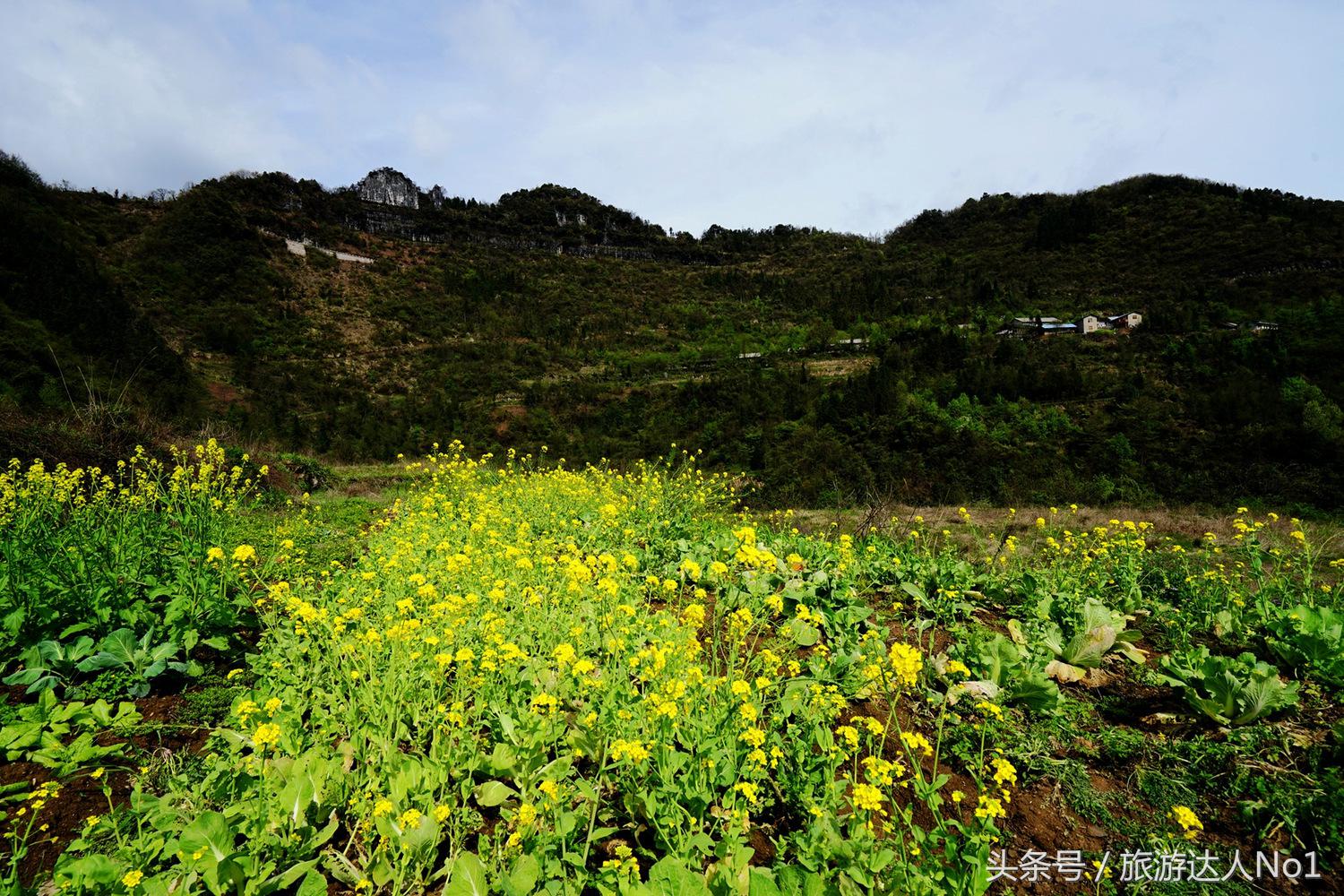 游记张家界8天旅游详细攻略,张家界天门山森林公园美景游记