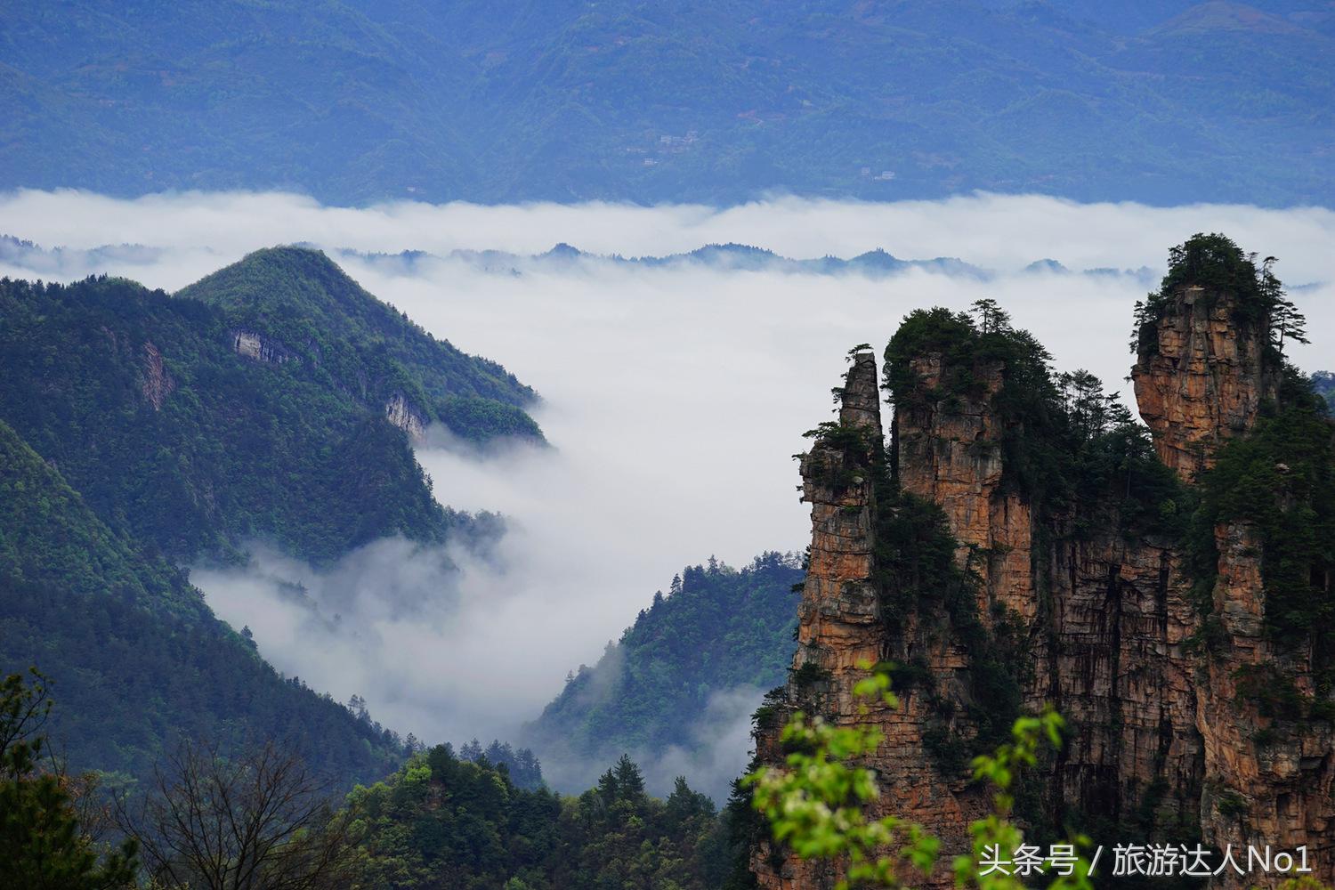 游记张家界8天旅游详细攻略,张家界天门山森林公园美景游记