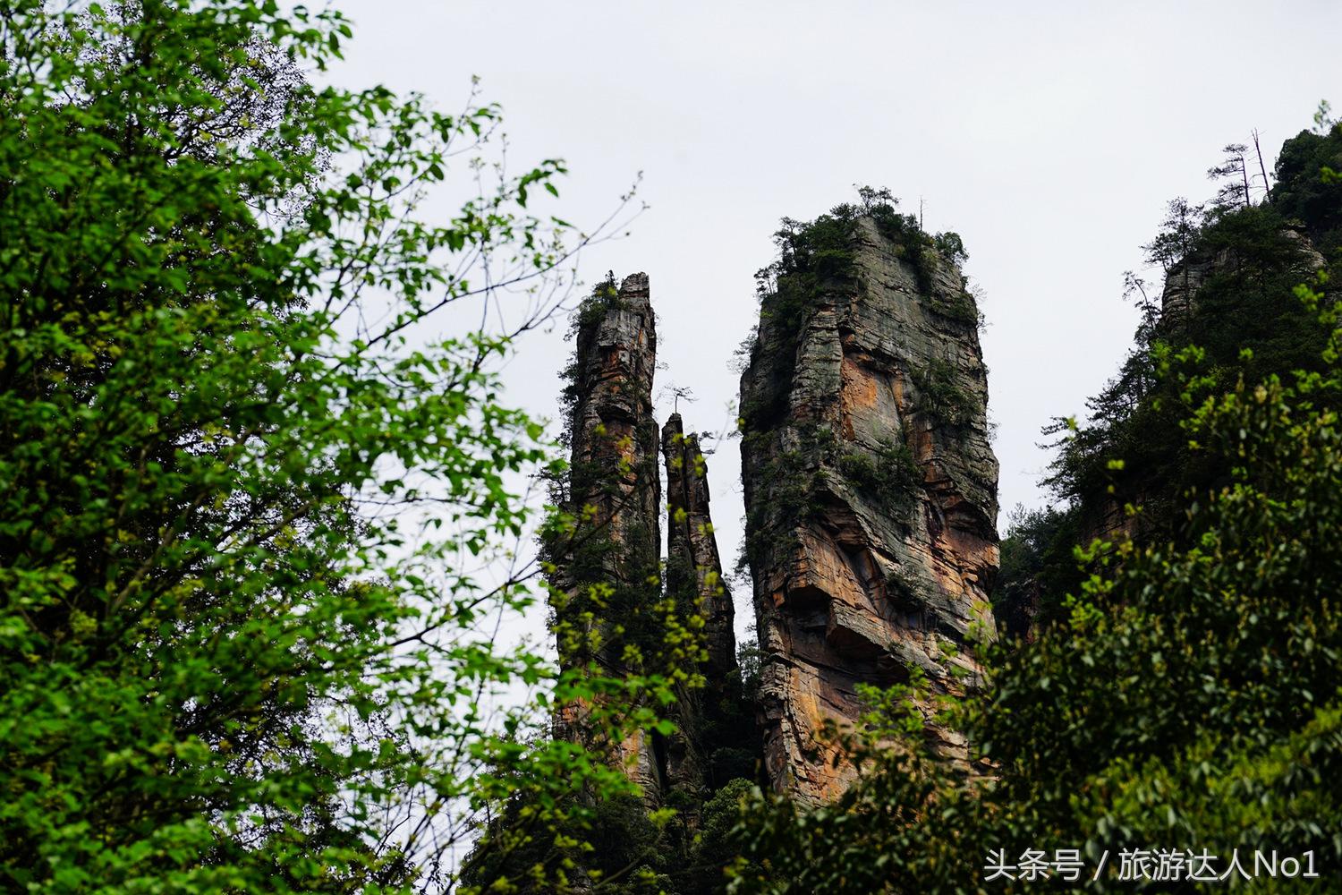 游记张家界8天旅游详细攻略,张家界天门山森林公园美景游记