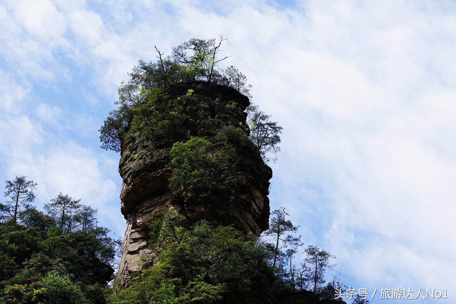 游记张家界8天旅游详细攻略,张家界天门山森林公园美景游记