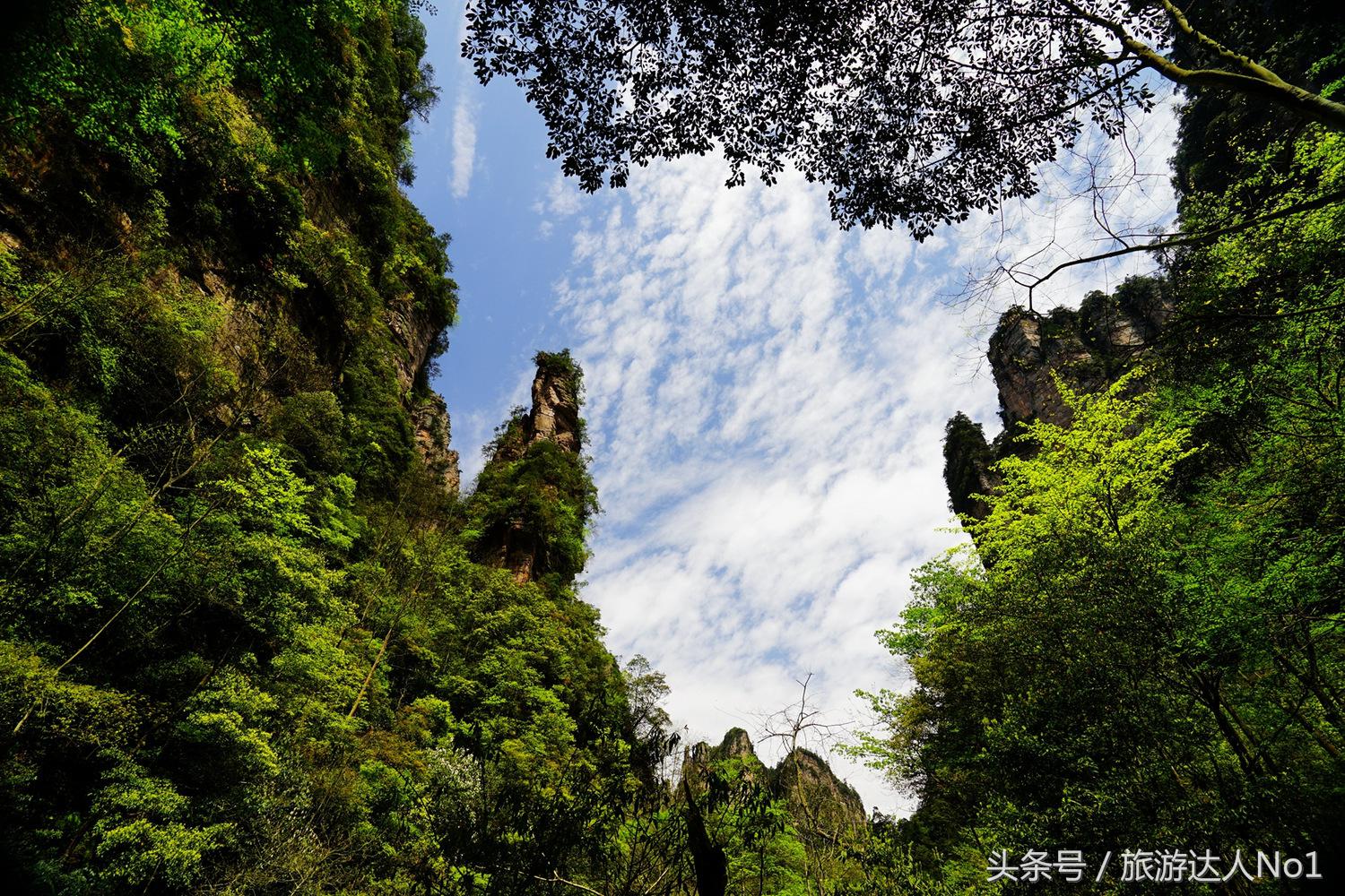 游记张家界8天旅游详细攻略,张家界天门山森林公园美景游记