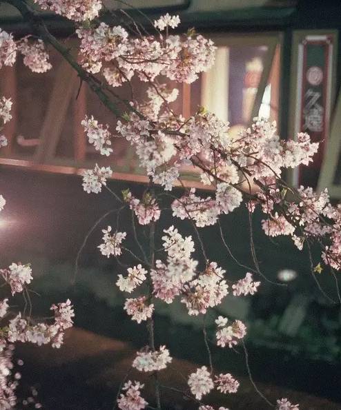 这份成语分类大全替孩子存下吧,成语分类积累整顿大全