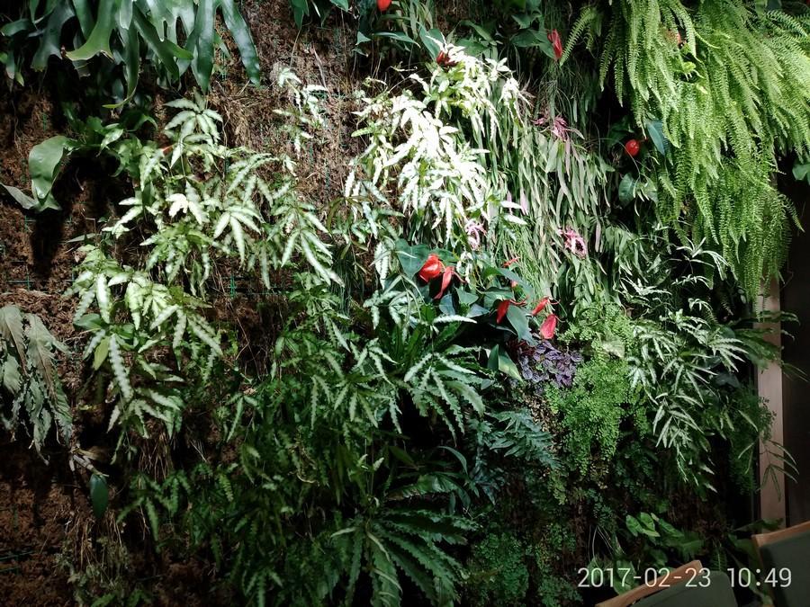 360手机N5配置怎么样,360手机n5值得买吗