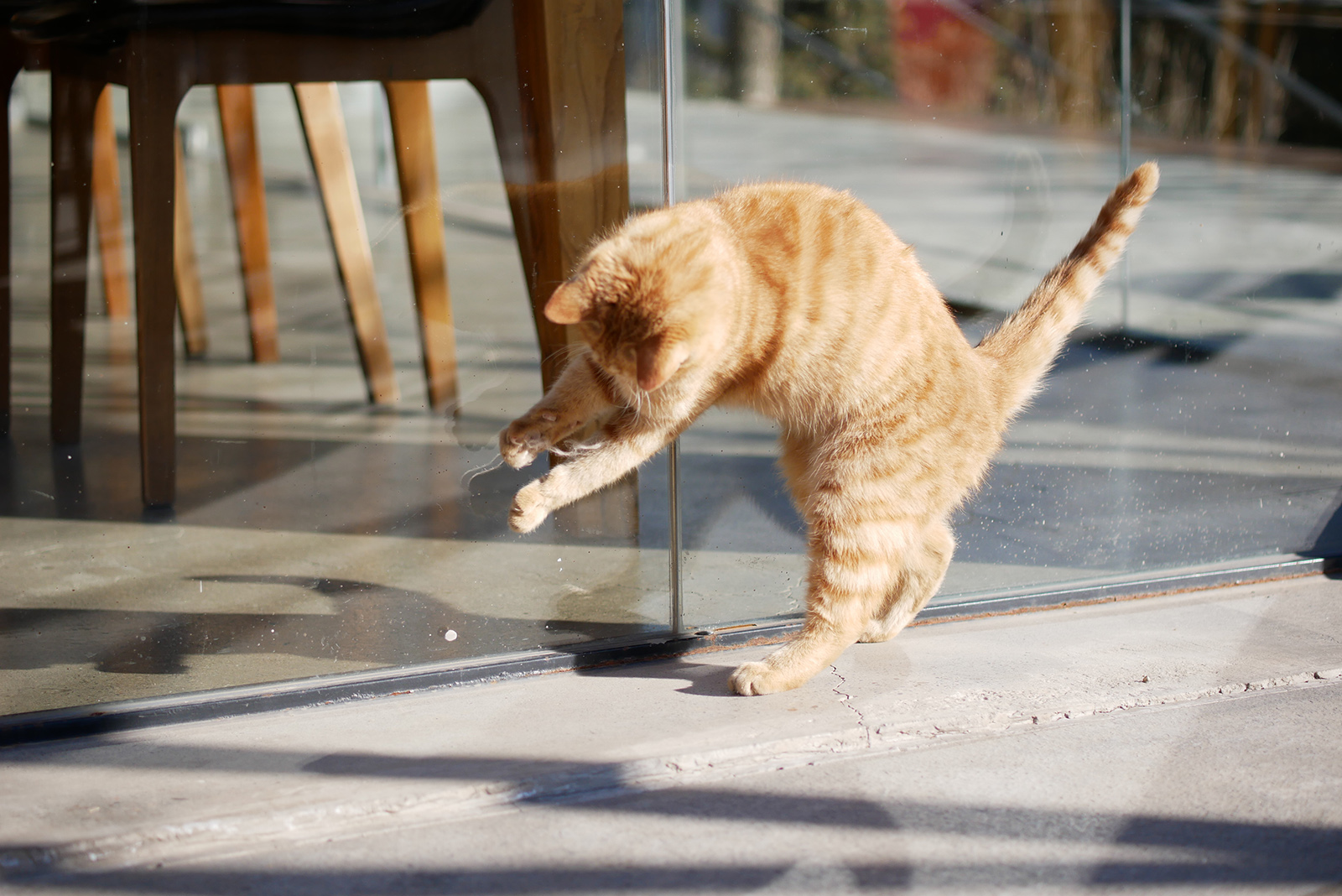 M4/3微单系统中，最适合摄影旅行的三款便携相机