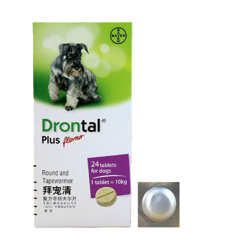 拥有导盲犬的人都是完全看不见吗,和主人不离不弃的导盲犬