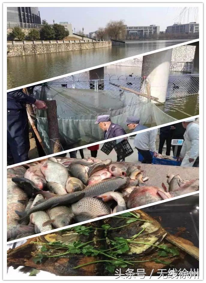 三民街的石板路，名校往事，老政府大院的1924，看徐州这条路