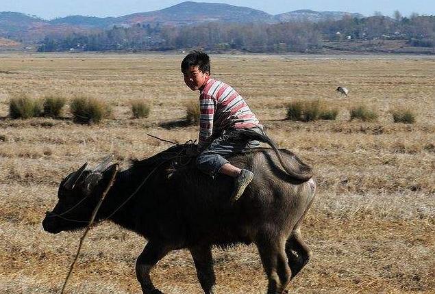 顺丰王卫上市照片,王卫不愿意让顺丰上市吗