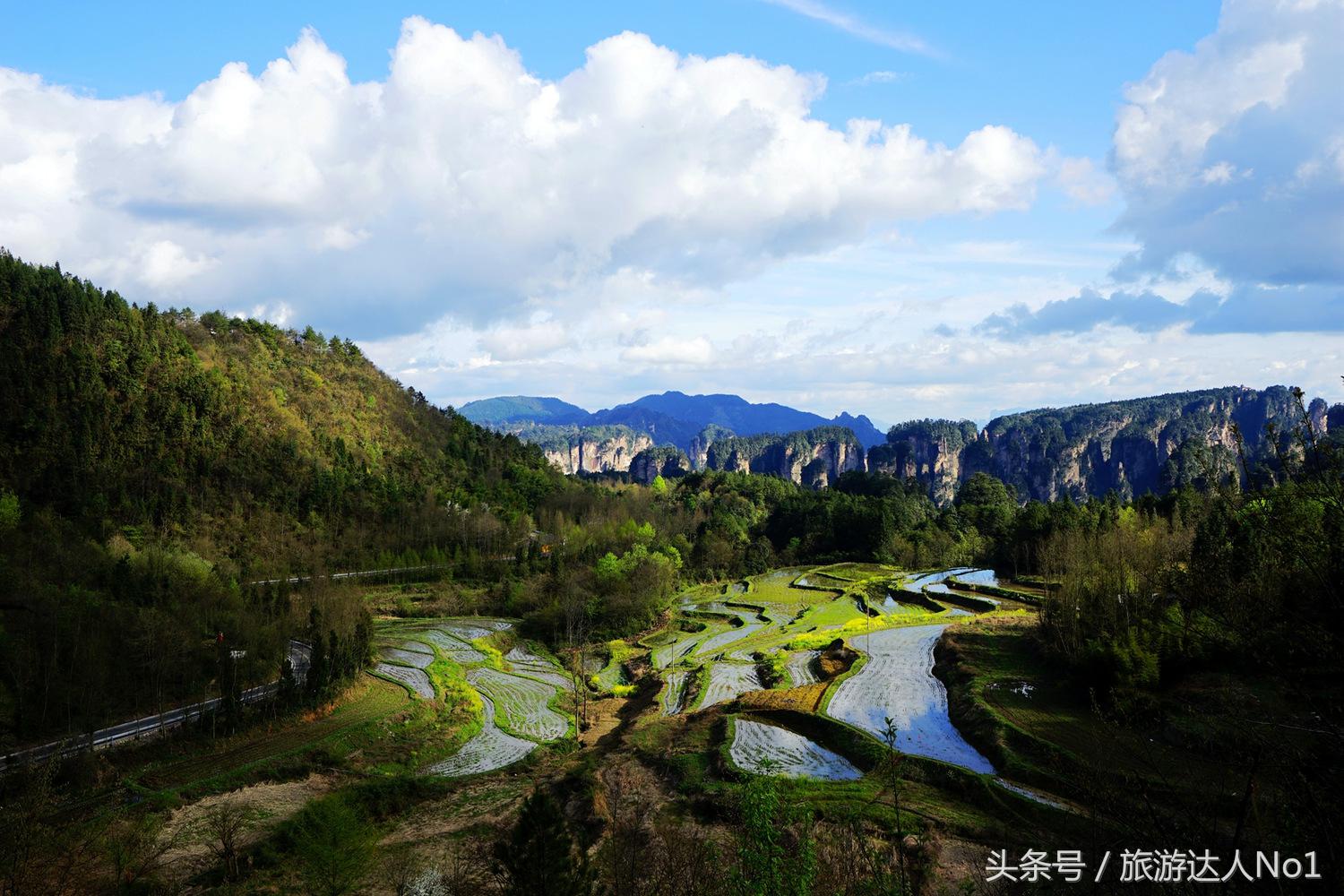 游记张家界8天旅游详细攻略,张家界天门山森林公园美景游记
