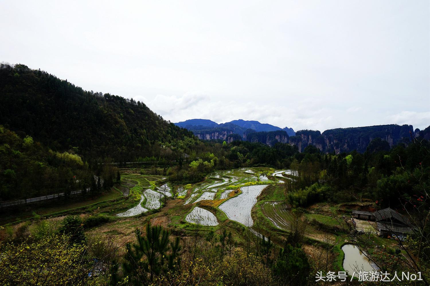 游记张家界8天旅游详细攻略,张家界天门山森林公园美景游记