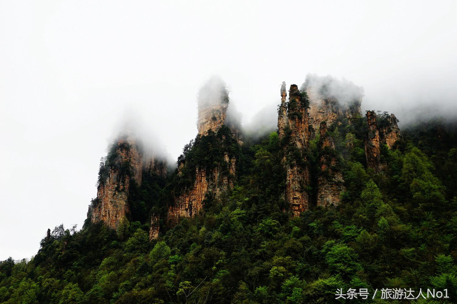 游记张家界8天旅游详细攻略,张家界天门山森林公园美景游记