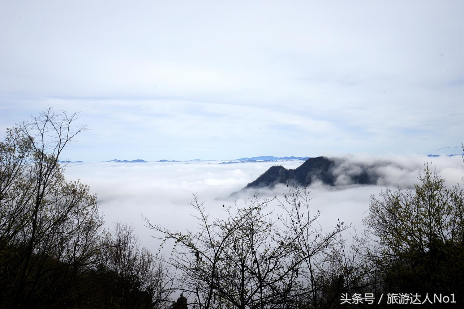 游记张家界8天旅游详细攻略,张家界天门山森林公园美景游记