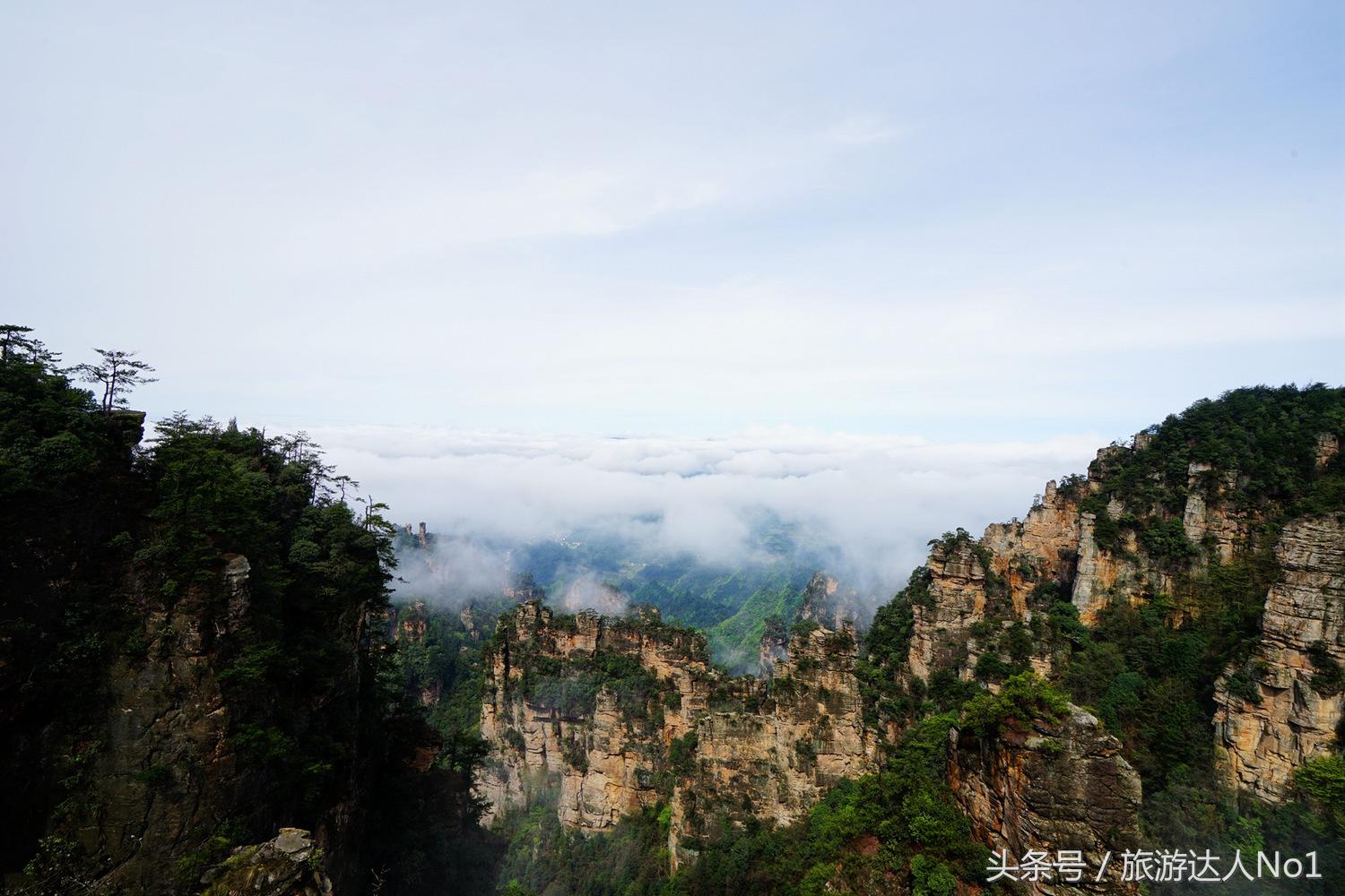 游记张家界8天旅游详细攻略,张家界天门山森林公园美景游记