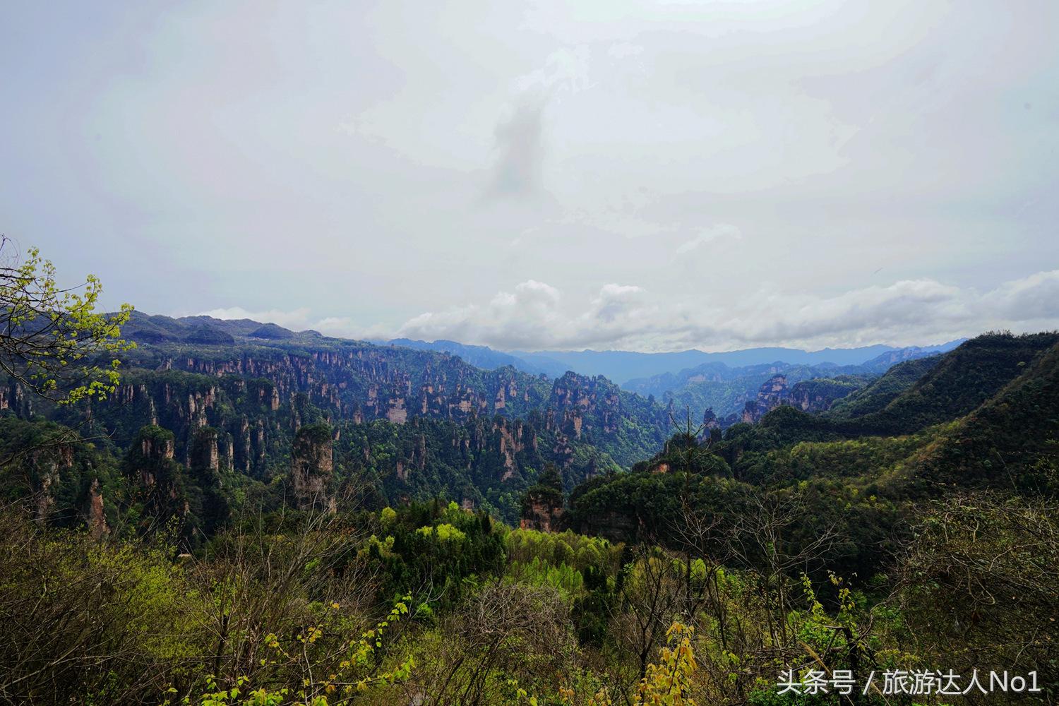 游记张家界8天旅游详细攻略,张家界天门山森林公园美景游记