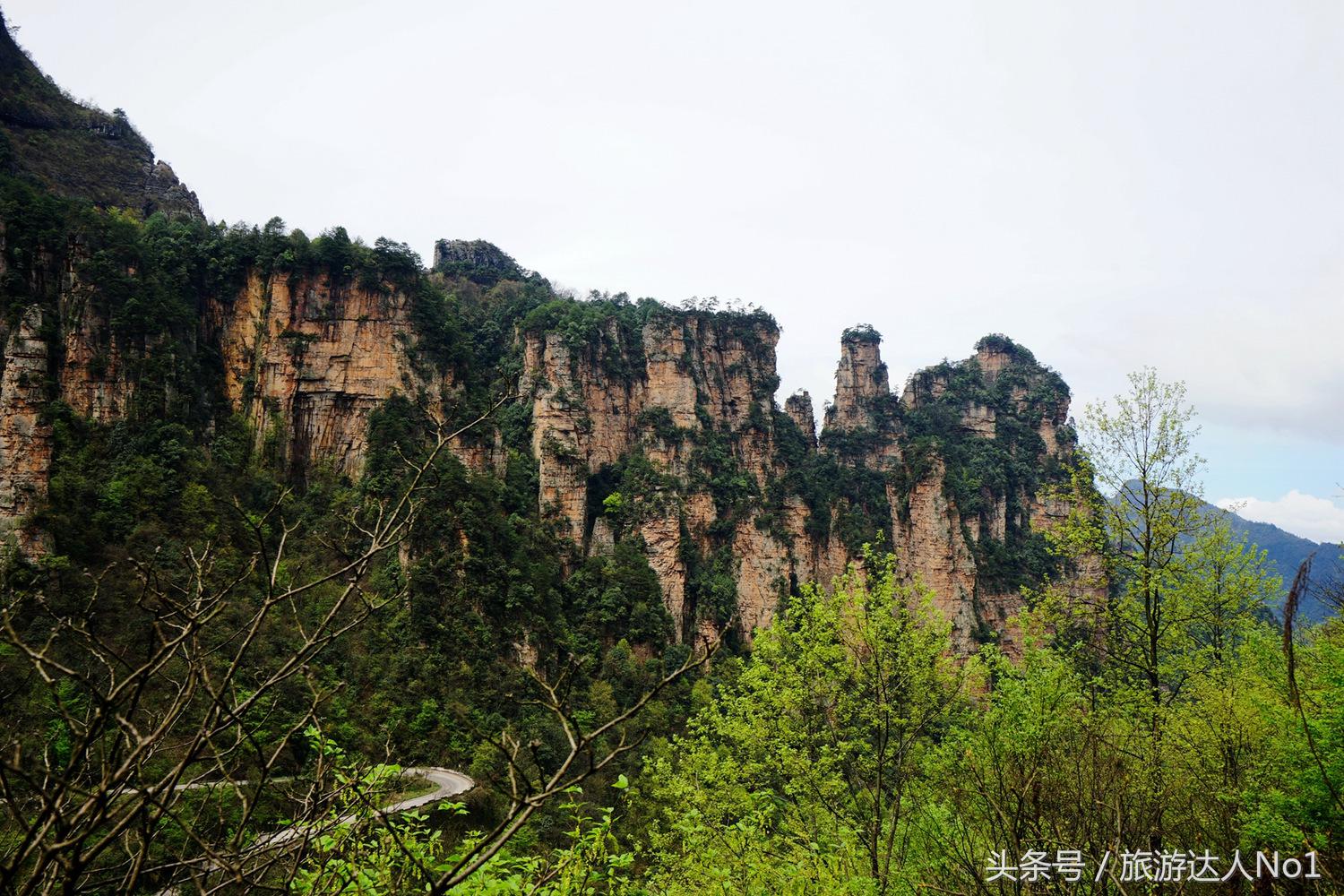 游记张家界8天旅游详细攻略,张家界天门山森林公园美景游记