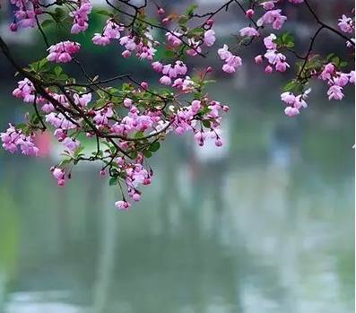 这份成语分类大全替孩子存下吧,成语分类积累整顿大全