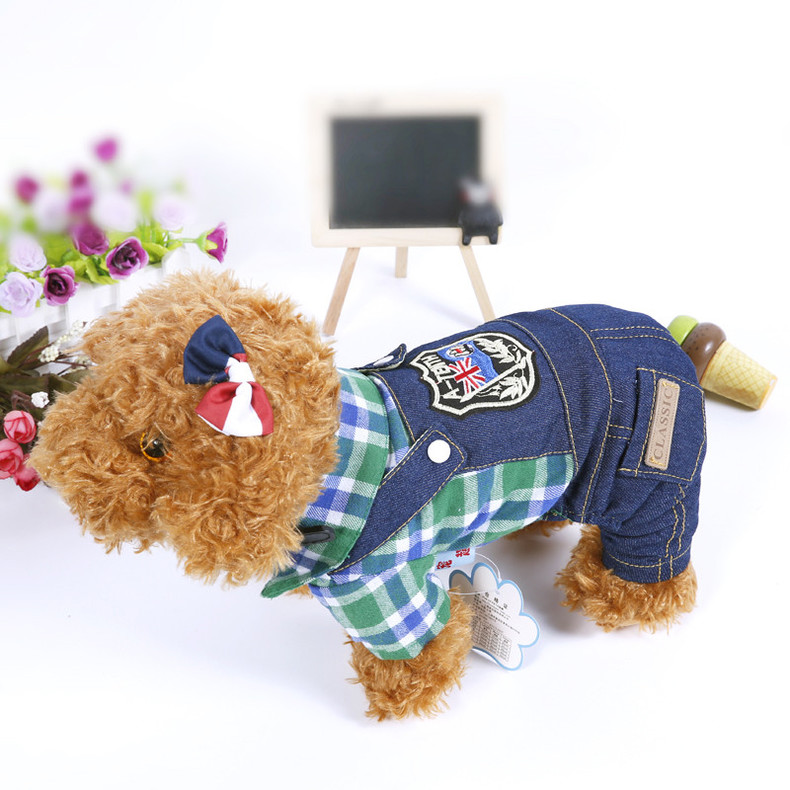 调皮又捣蛋的泰迪怎么驯服它,调皮的泰迪怎么制服它