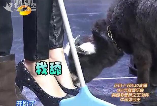 三生三世十里桃花杨幂吃桃,三生三世十里桃花杨幂的弱点