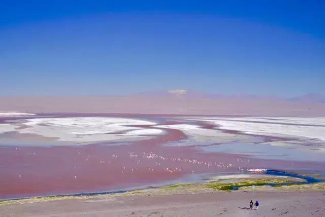 这才是旅行的样子，从亚洲至南美洲，他比我们多了点勇气和决心