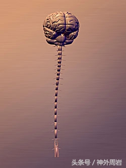 看神经外科哪个医院好,神经外科看哪些疾病