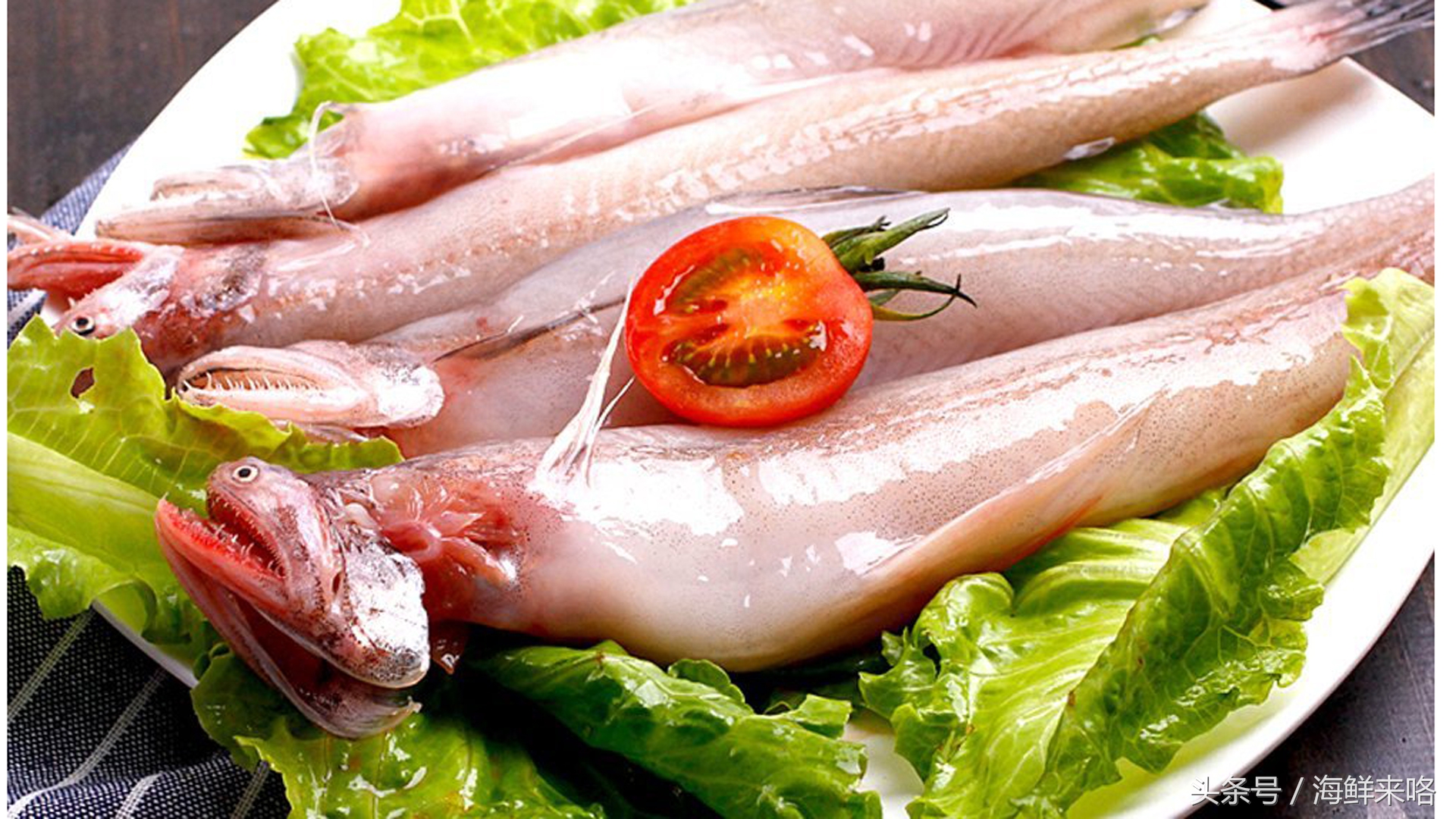 哪种海鱼吃着最简单,哪种海鱼喜欢吃肉