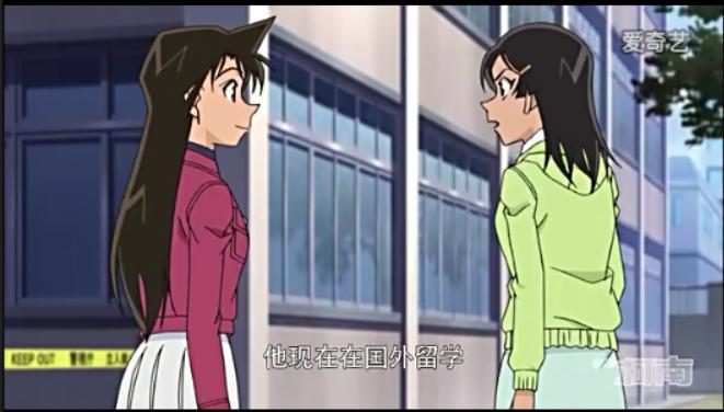 园子和京极真如何评价,有关园子和京极真的集数