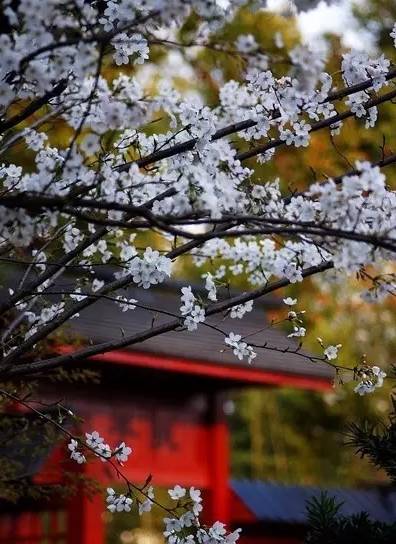 这份成语分类大全替孩子存下吧,成语分类积累整顿大全