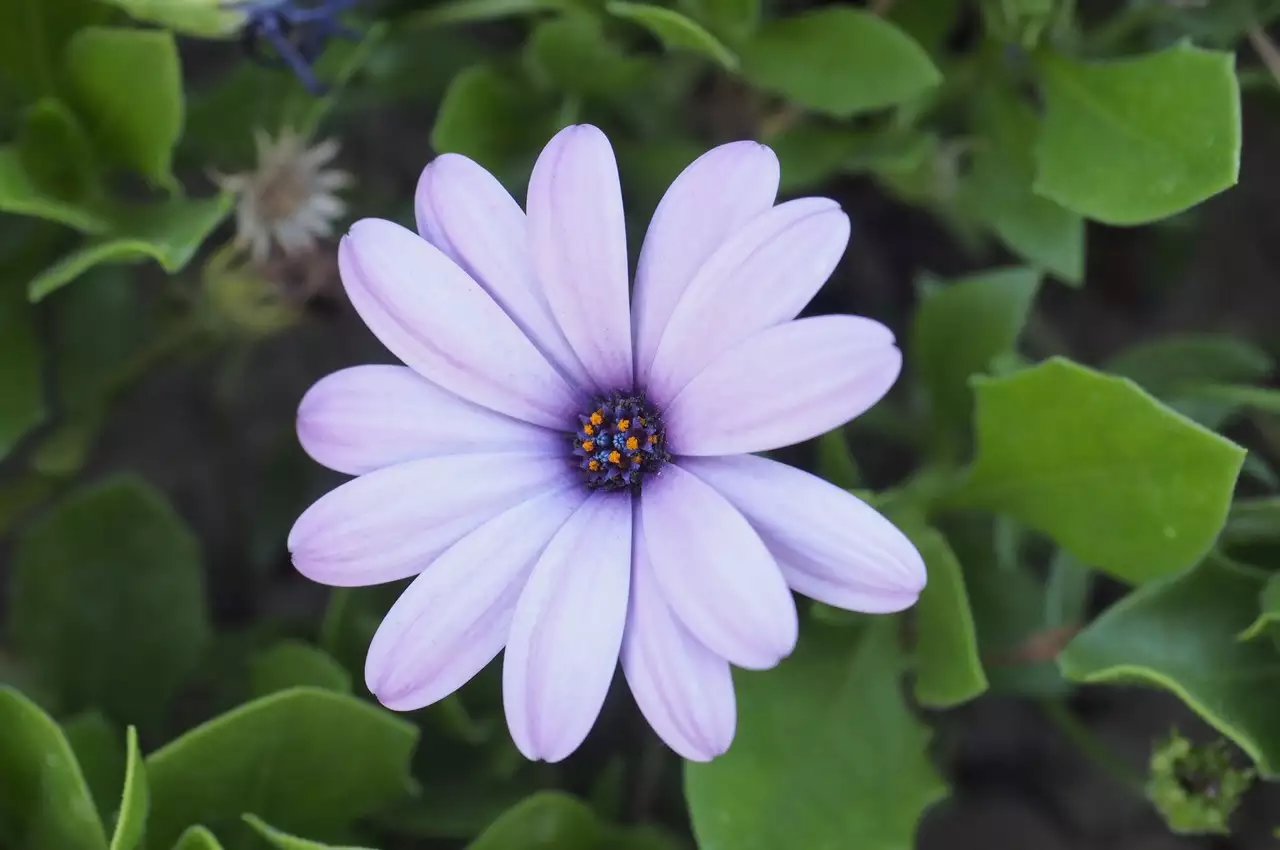 M4/3微单系统中，最适合摄影旅行的三款便携相机