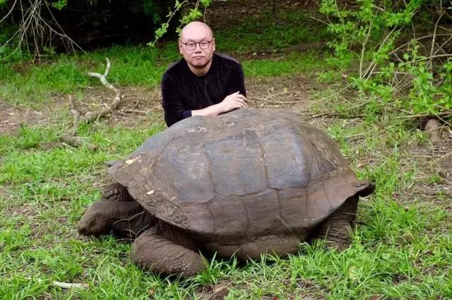 这才是旅行的样子，从亚洲至南美洲，他比我们多了点勇气和决心