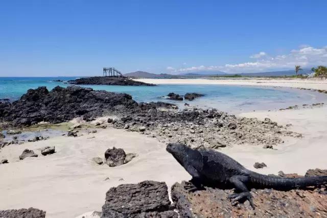 这才是旅行的样子，从亚洲至南美洲，他比我们多了点勇气和决心