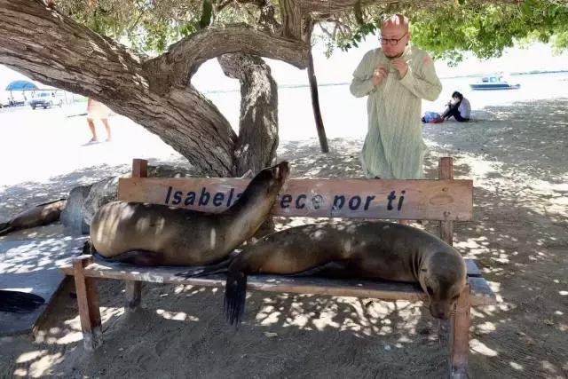 这才是旅行的样子，从亚洲至南美洲，他比我们多了点勇气和决心
