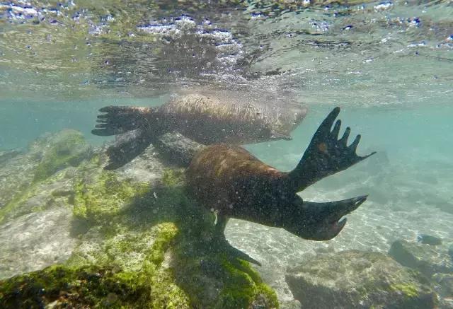 这才是旅行的样子，从亚洲至南美洲，他比我们多了点勇气和决心