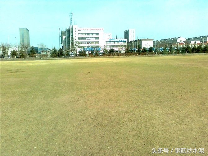 累觉不爱，我的足球