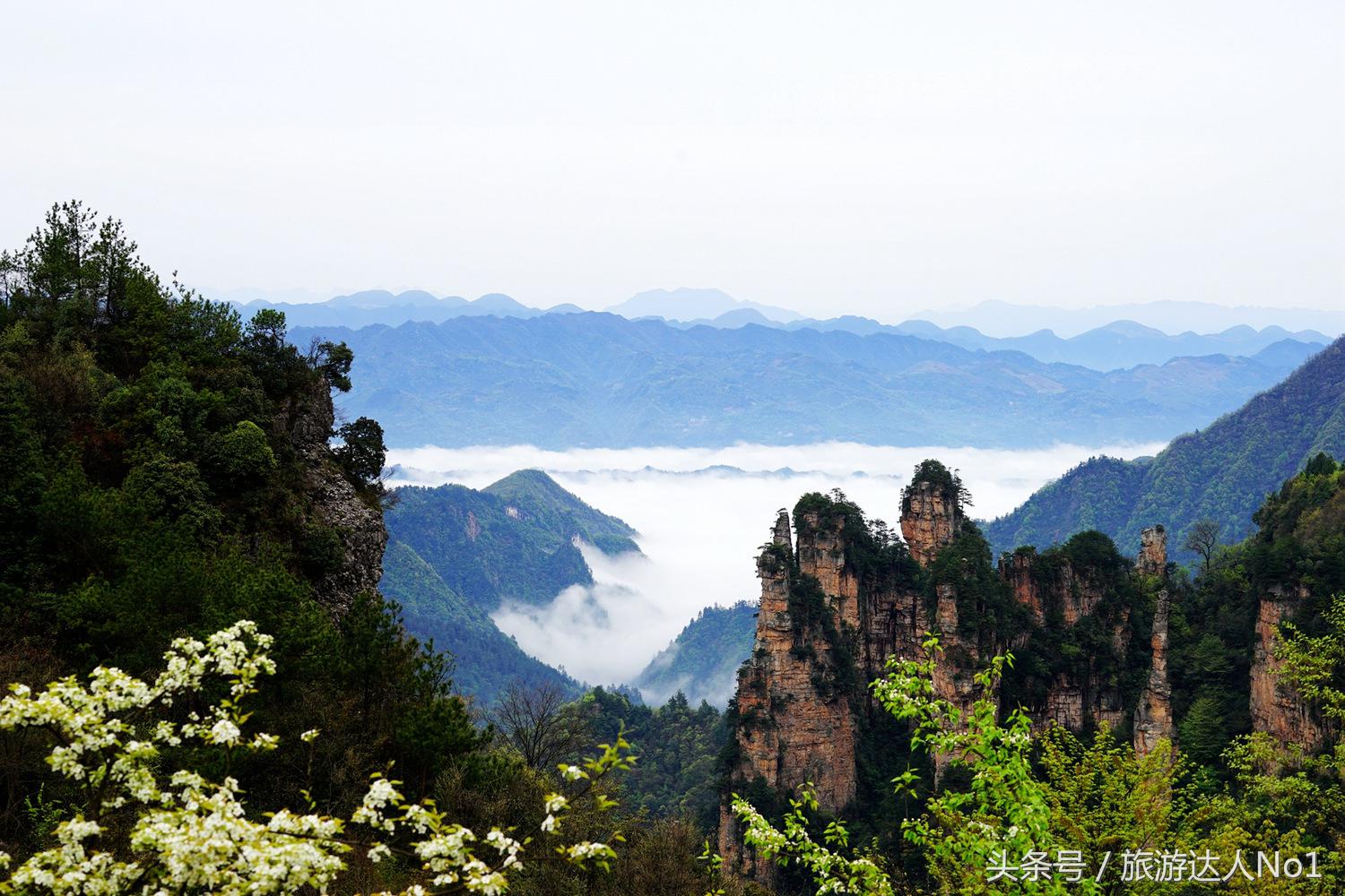 游记张家界8天旅游详细攻略,张家界天门山森林公园美景游记