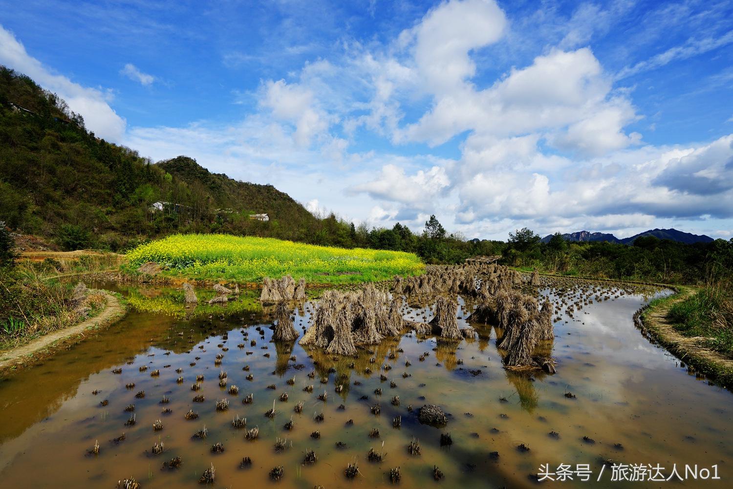 游记张家界8天旅游详细攻略,张家界天门山森林公园美景游记
