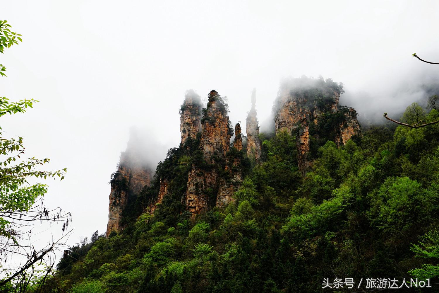 游记张家界8天旅游详细攻略,张家界天门山森林公园美景游记