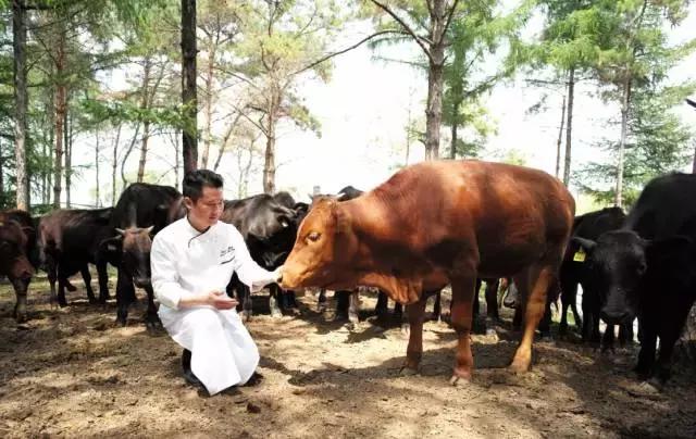 去长春推荐住宿地点,长春旅游比较好的酒店