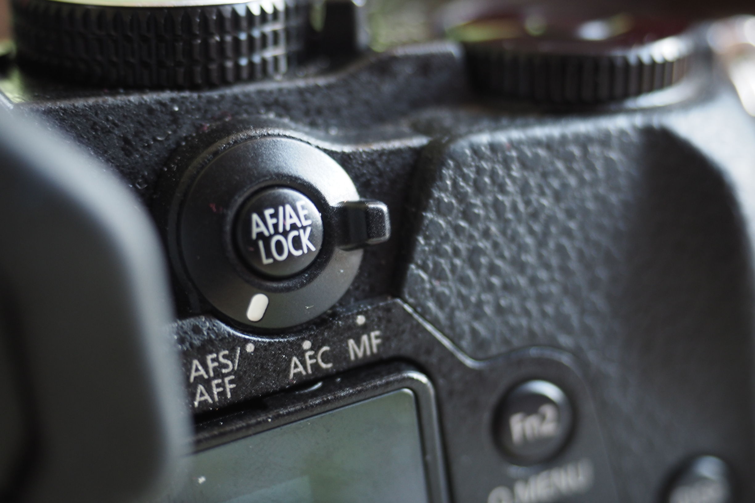 M4/3微单系统中，最适合摄影旅行的三款便携相机