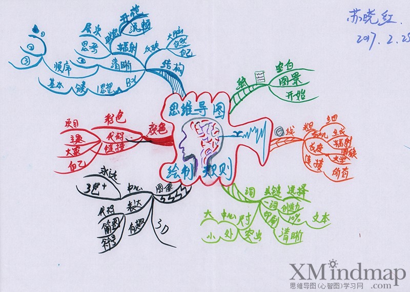 关于新鲜的思维导图手绘,手绘精美思维导图漂亮
